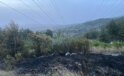 Hatay’ın Dörtyol ilçesinde ormanlık alanda çıkan yangın söndürüldü